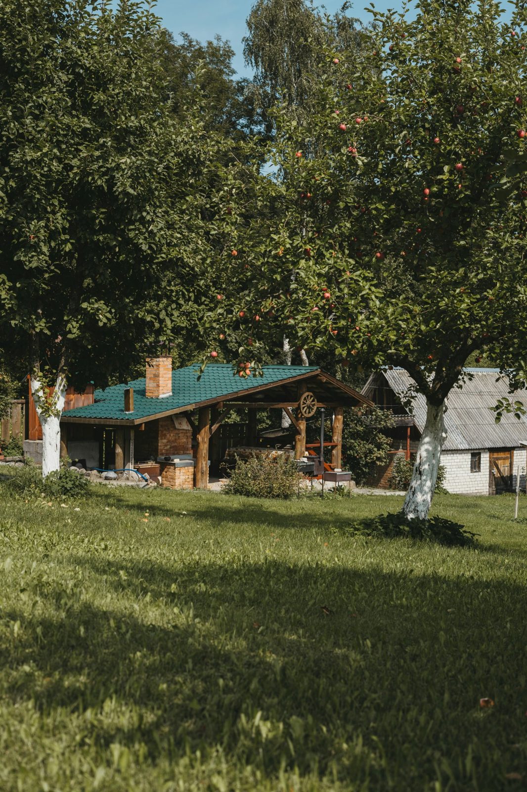 Rustikaler Garten mit Rasen, Apfelbäumen und einer Holzpergola